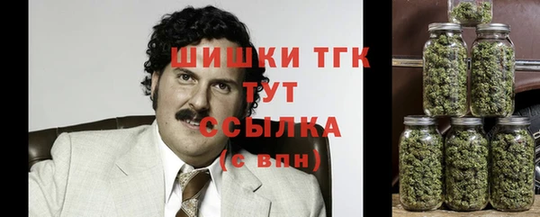 дурь Бронницы