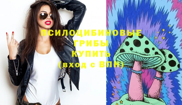 дурь Бронницы