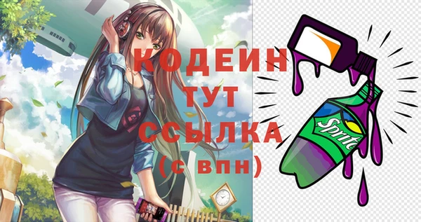таблы Бородино