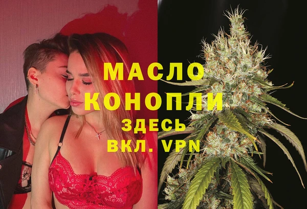 таблы Бородино