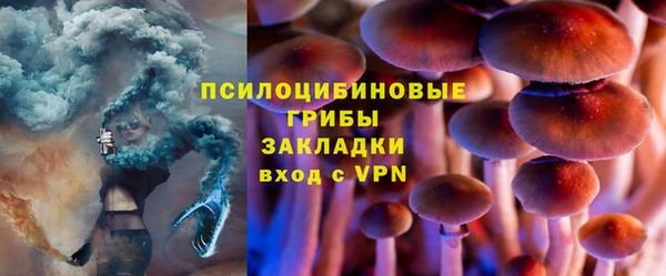 дурь Бронницы