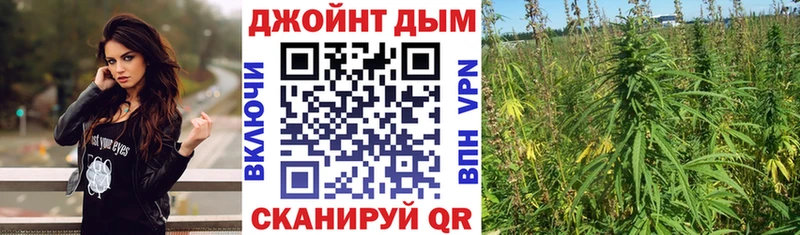 Бошки Шишки конопля  Купить  Коряжма 